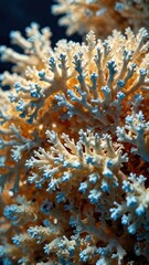 close-up of Ivory Coral, cinematic, deep sea background