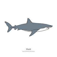 Simple Shark Illustration Design