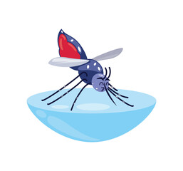 dengue aedes aegypti mosquito on water