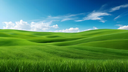 Naklejka premium Scenery beautiful of green field with blue sky green grass fields on small hills and blue sky suitable for wallpaper and background illustration