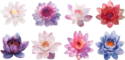 set of water lilies with color style