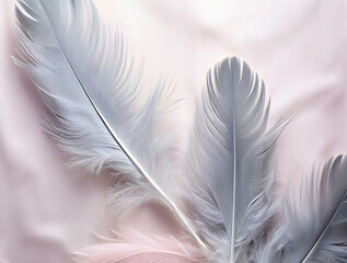 Obraz premium feather