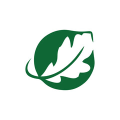 Fototapeta premium leaf oak logo design