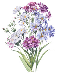 Flower bouquet in watercolor style on transparent background