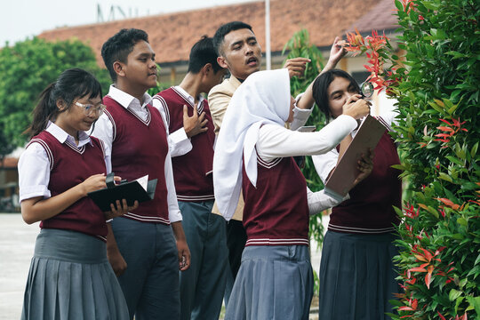 Asian Man Teacher Is Teaching Botanical Plants With Multiethnic Students. Outdoor classroom.