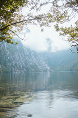 Alerce Andiono Park South of Chile