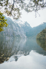 Alerce Andiono Park South of Chile