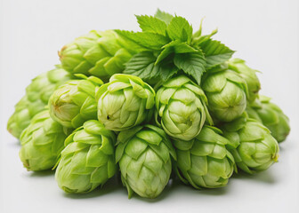 Obraz premium Freshly harvested green hop cones, a natural ingredient for brewing, sit isolated on a clean white background, showcasing their vibrant color and delicate texture.