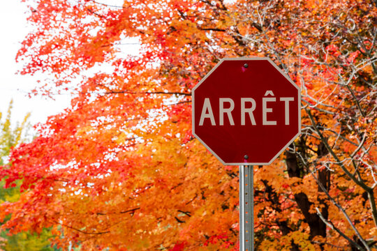 Stop sign in French ( Arr&ecirc;t sign ) with red autumn leaves background. Road and Traffic Sign in Canada. Translation in French "stop".