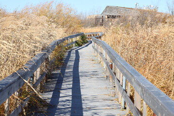 wooden boardwalk twists and turns through natural tall grass prairie in autumn