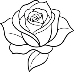 Rose Line Art Vector Illustration