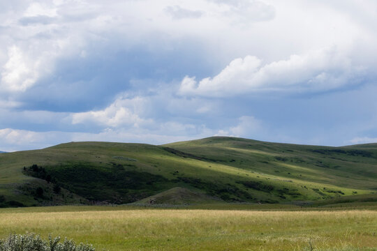 Non-urban empty nature landscape of small rolling hills covered in lush green grass with a moody sky and no people.