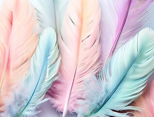 feathers background
