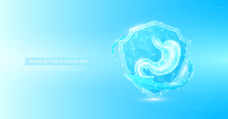 Stomach human organ anatomy style polygonal in shield glowing surrounded by blue arrows. Medical science protection symbol. Health care concept. Banner vector EPS10.