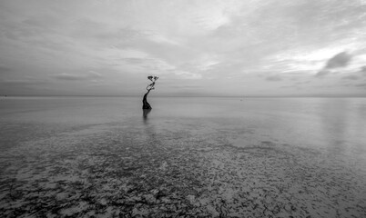 scenery at Walakiri Beach, Sumba Island, Nusa Tenggara Timur, Indonesia