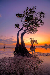 Sunset scenery at Walakiri Beach, Sumba Island, Nusa Tenggara Timur, Indonesia