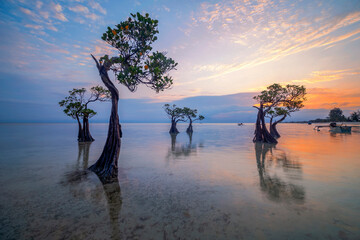 Sunset scenery at Walakiri Beach, Sumba Island, Nusa Tenggara Timur, Indonesia