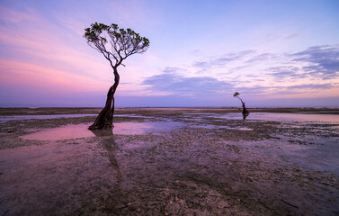 Sunset scenery at Walakiri Beach, Sumba Island, Nusa Tenggara Timur, Indonesia
