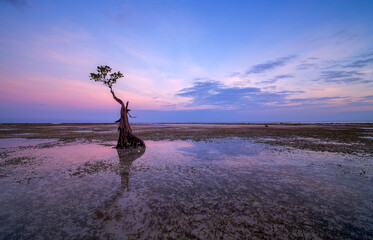 Sunset scenery at Walakiri Beach, Sumba Island, Nusa Tenggara Timur, Indonesia