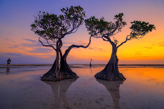 Sunset scenery at Walakiri Beach, Sumba Island, Nusa Tenggara Timur, Indonesia