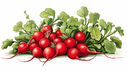 Botanical Radishes Illustration in the style of dictionary entry ~ Created using Generative AI