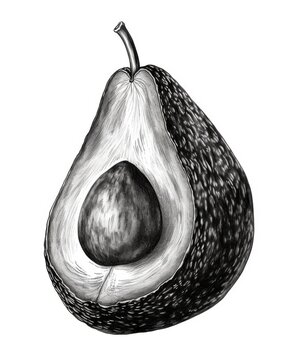recommend clip art: Black and white Vintage engraved art of an avocado isolated on white background, ink sketch illustration, simple vector art design, highly detailed line art, high contrasty