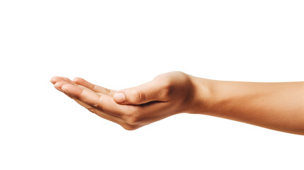 Open human hand in a gesture of offering against a white background
