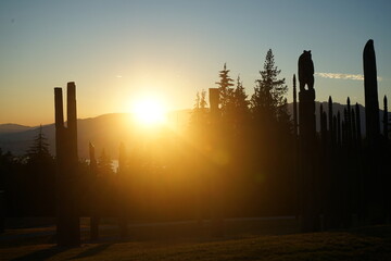 sunset in the park