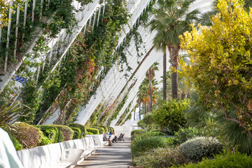 Garden with palm trees