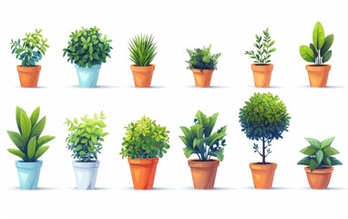 Fototapeta premium potted plant with tree Collection of flat illustrations arranged in a row. White background vector