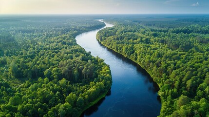 Aerial View of a River Winding Through Lush Green Forest