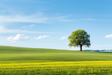 Vibrant Spring Landscape with Lush Tree in Scenic Countryside
