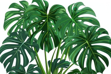 Obraz premium A tropical tree clipart, exotic plant, flat design, large green leaves, isolated on white background
