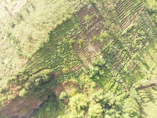 Aerial shot of the slopes of Mount Padakasih located in Cikancung - Indonesia. Forestry Industry. Panoramic Landscape. Graphic Resources. Selective Focus. Aerial Landscape Photography Concept