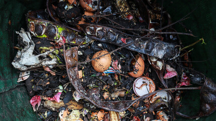 A close up view of a compost bin filled with various organic materials, including eggshells, leaves, branches, and other decomposing matter. Food decompose recycle process.
