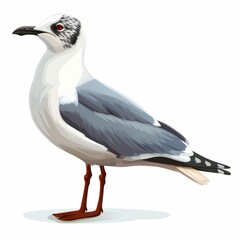 Obraz premium Isolated seagull illustration.