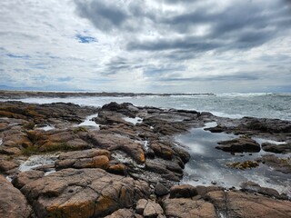 Bass Point Reserve, Shellharbour, NSW, Australia
