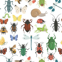 Fototapeta premium vector seamless pattern with insects, beetles and butterflies at white background, natural elements, hand drawn illustration