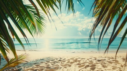 Fototapeta premium A serene tropical beach with white sand stretching into the distance, framed by palm tree leaves and bathed in warm sunlight.