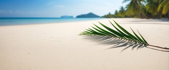 A serene beach scene featuring a palm leaf on soft sand, capturing the essence of tropical relaxation and vacation getaways
