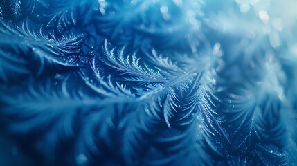 Blue background and leaf