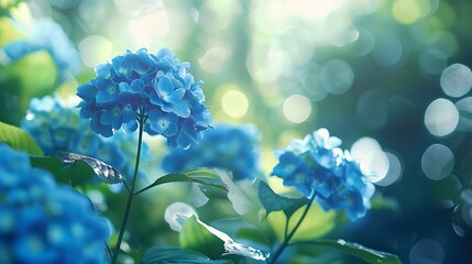 flowers in the garden