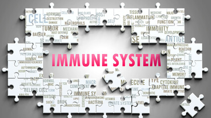 Immune System as a complex subject, related to important topics. Pictured as a puzzle and a word cloud made of most important ideas and phrases related to immune system. ,3d illustration