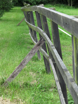 Fence - Springfort Hall park - Mallow - Ireland