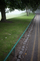 Trees in the fog - Seaton park - Aberdeen city - Scotland - UK