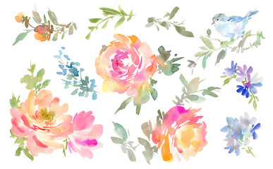 : A set of abstract watercolor illustrations of pink and orange roses with blue flowers with transparent background. Botanical watercolor illustrations for invitation design.