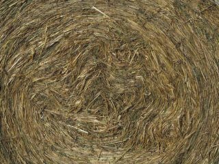 Bale of Hay - Stonehaven - Aberdeenshire - Scotland - UK