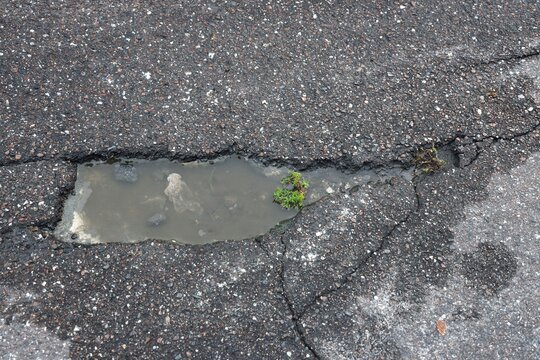 Pothole in Street Filled with Rainwater