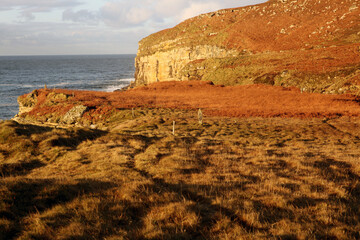 Fototapeta premium Dunnet head coastal walk - peninsula in Caithness - most northerly point of the mainland of Great Britain - Caithness - Scotland - UK