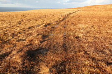 Dunnet head coastal walk - peninsula in Caithness - most northerly point of the mainland of Great Britain - Caithness - Scotland - UK